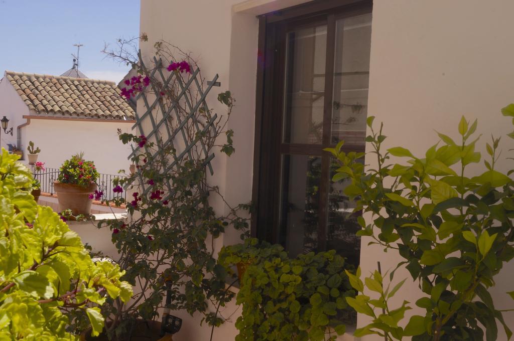 Penthouse Puerta De La Juderia Apartment Кордоба Екстериор снимка